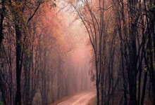 将战德国!意天空:意大利赛前测试352阵型 波利塔诺&乌多吉翼卫.