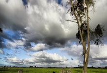 九游:连场里程碑!詹姆斯生涯50000分 书写又一项新纪录.